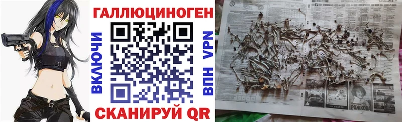 Галлюциногенные грибы Psilocybe Кадников