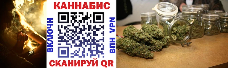Бошки Шишки гибрид  Кадников 